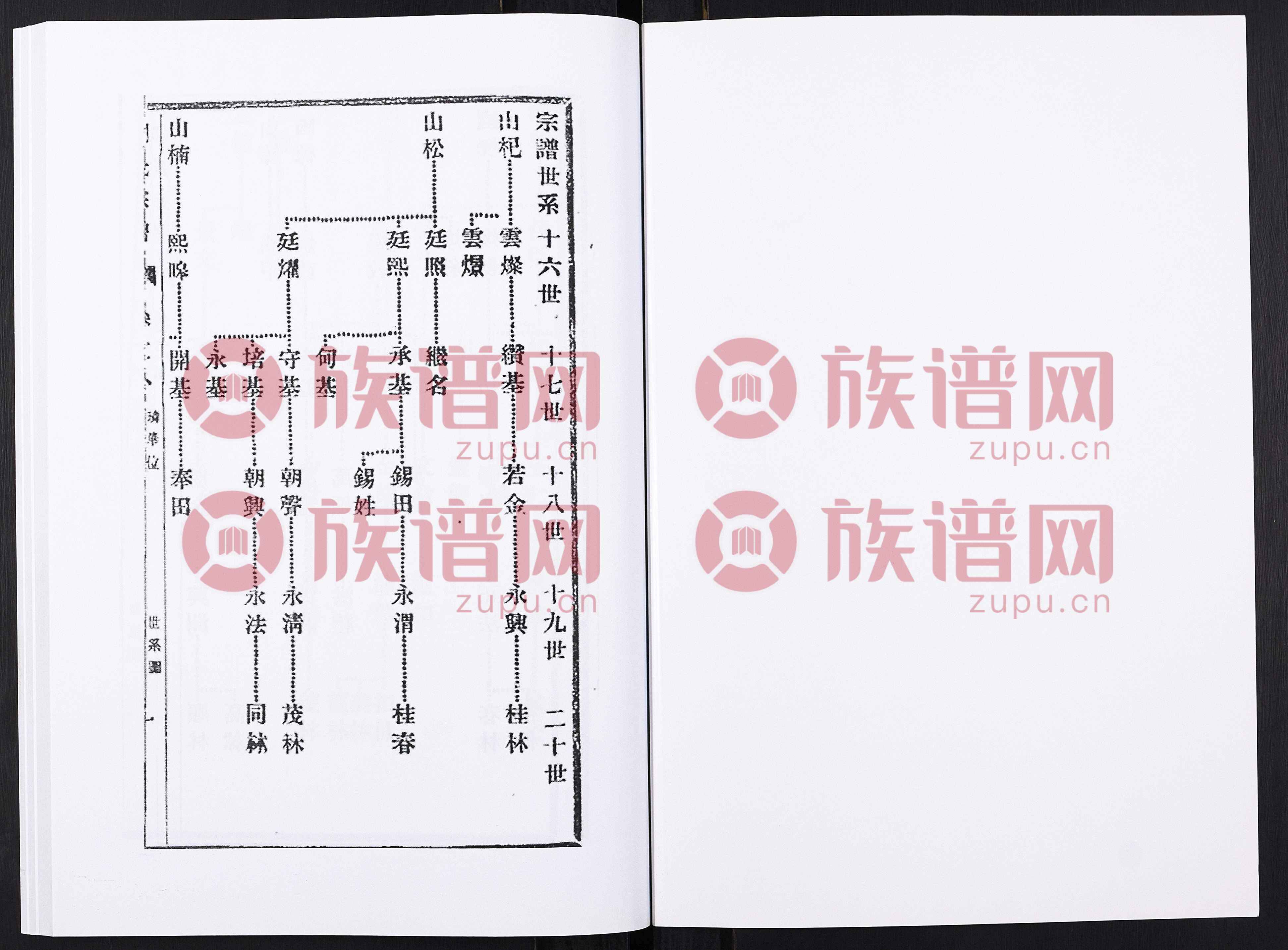 刘氏世系表图片